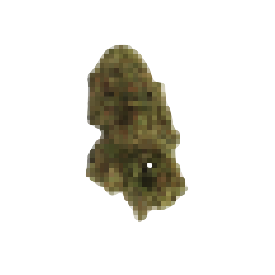 Fleur du mois CBD - Magic CBD