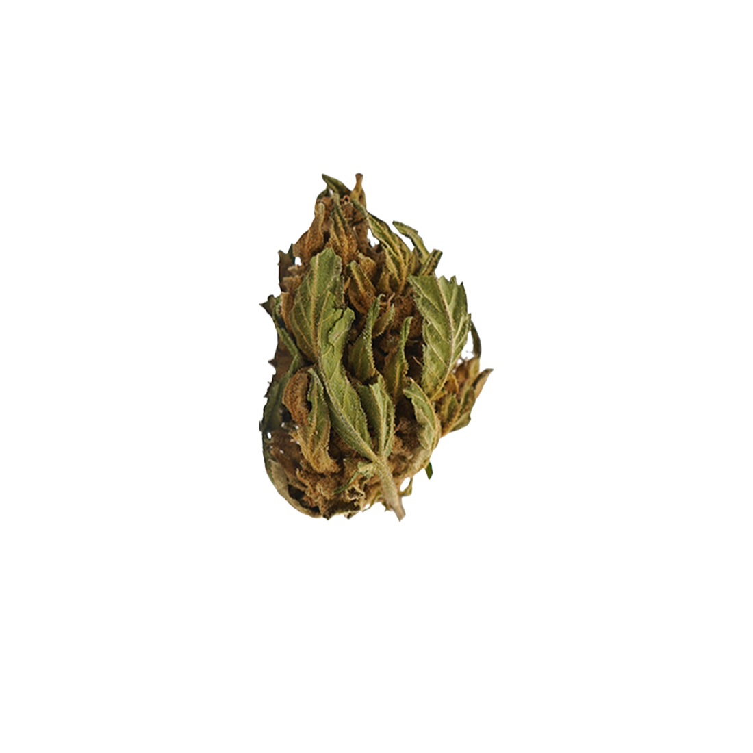 Banana CBG Small Buds - Magic CBD