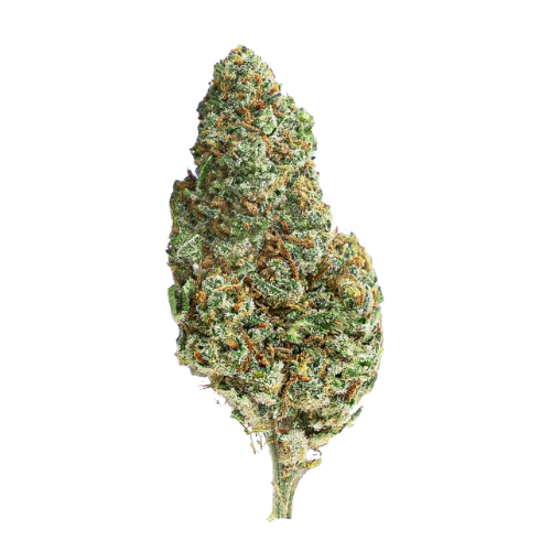 AMNESIA Kush - Magic CBD