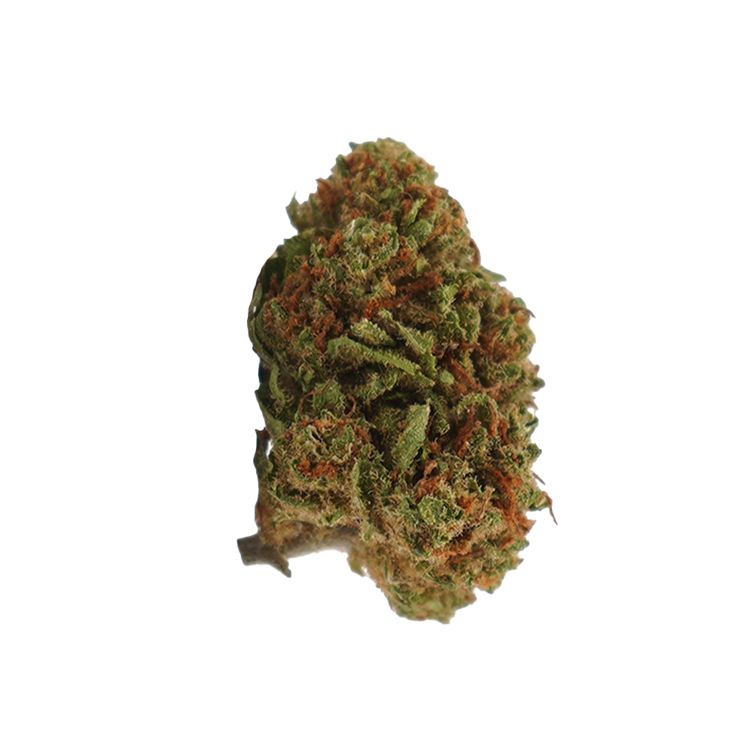 Blueberry CBD
