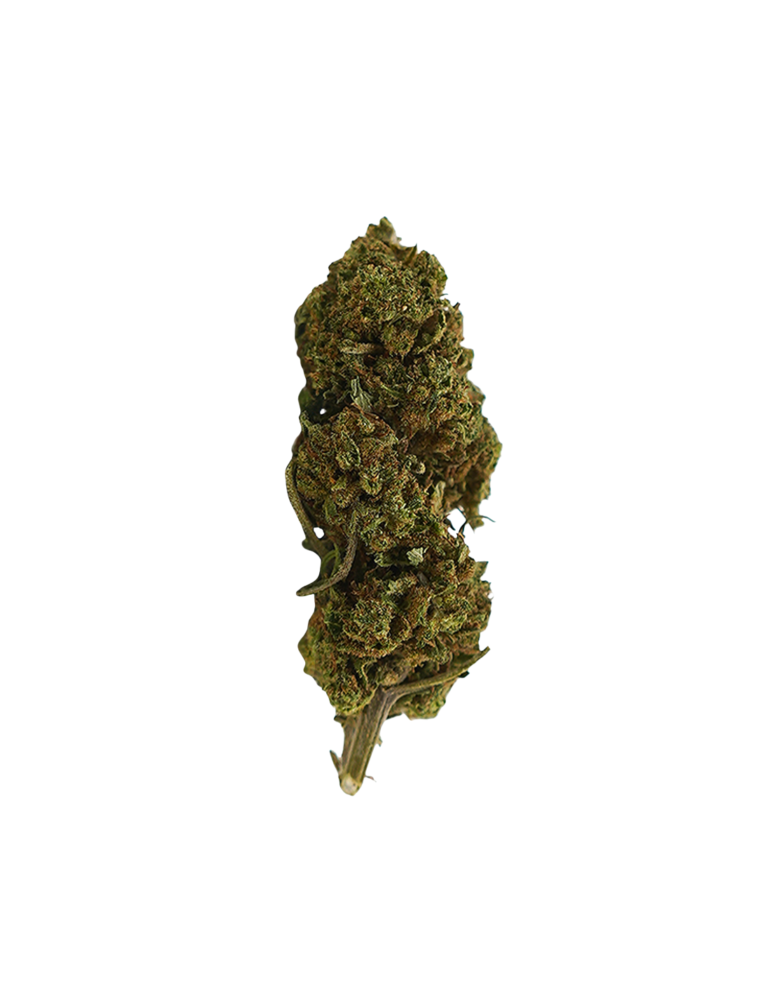 Bubba Kush CBD