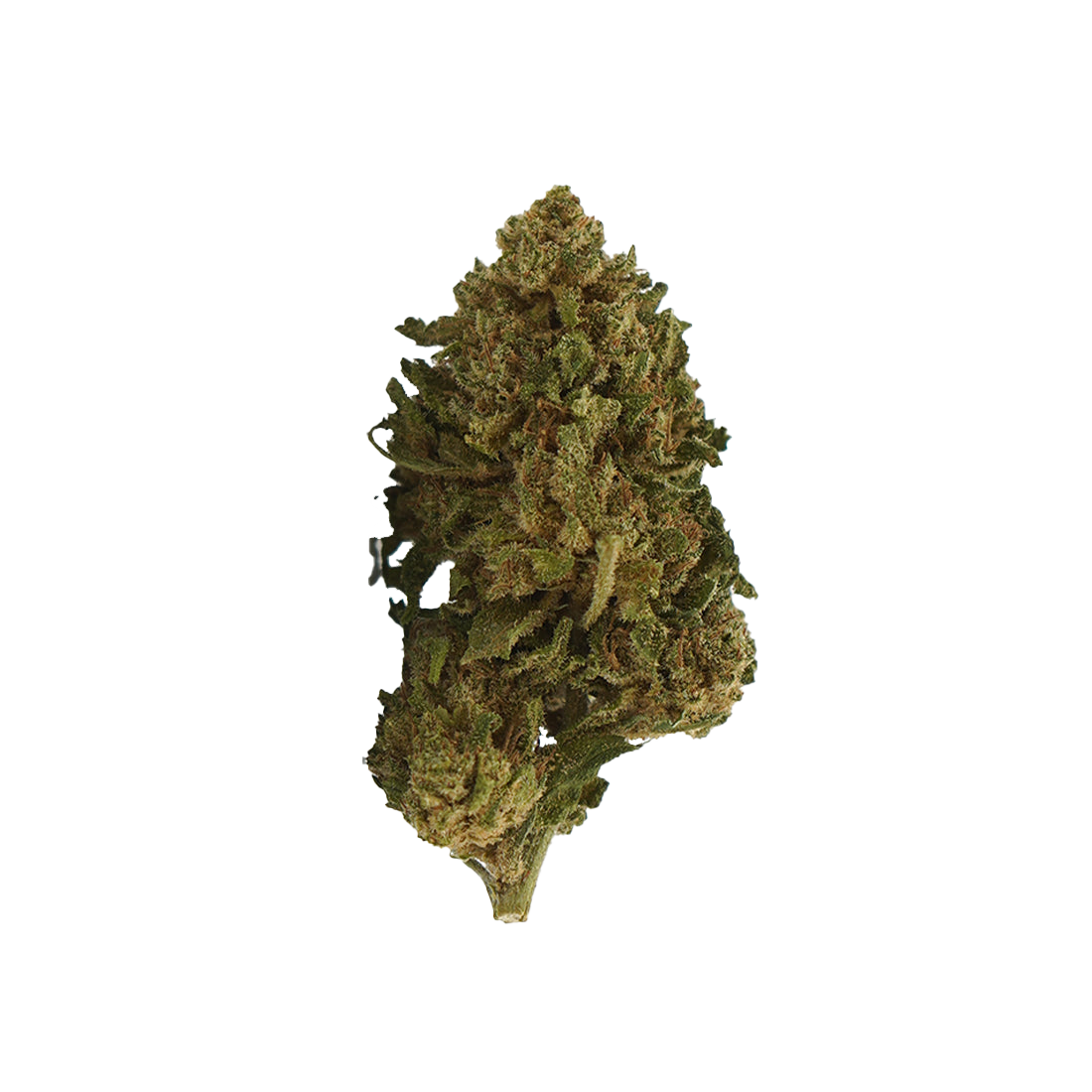 Gelato CBD