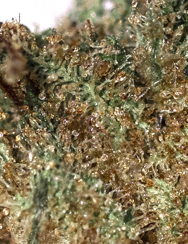 AK-47 - Magic CBD