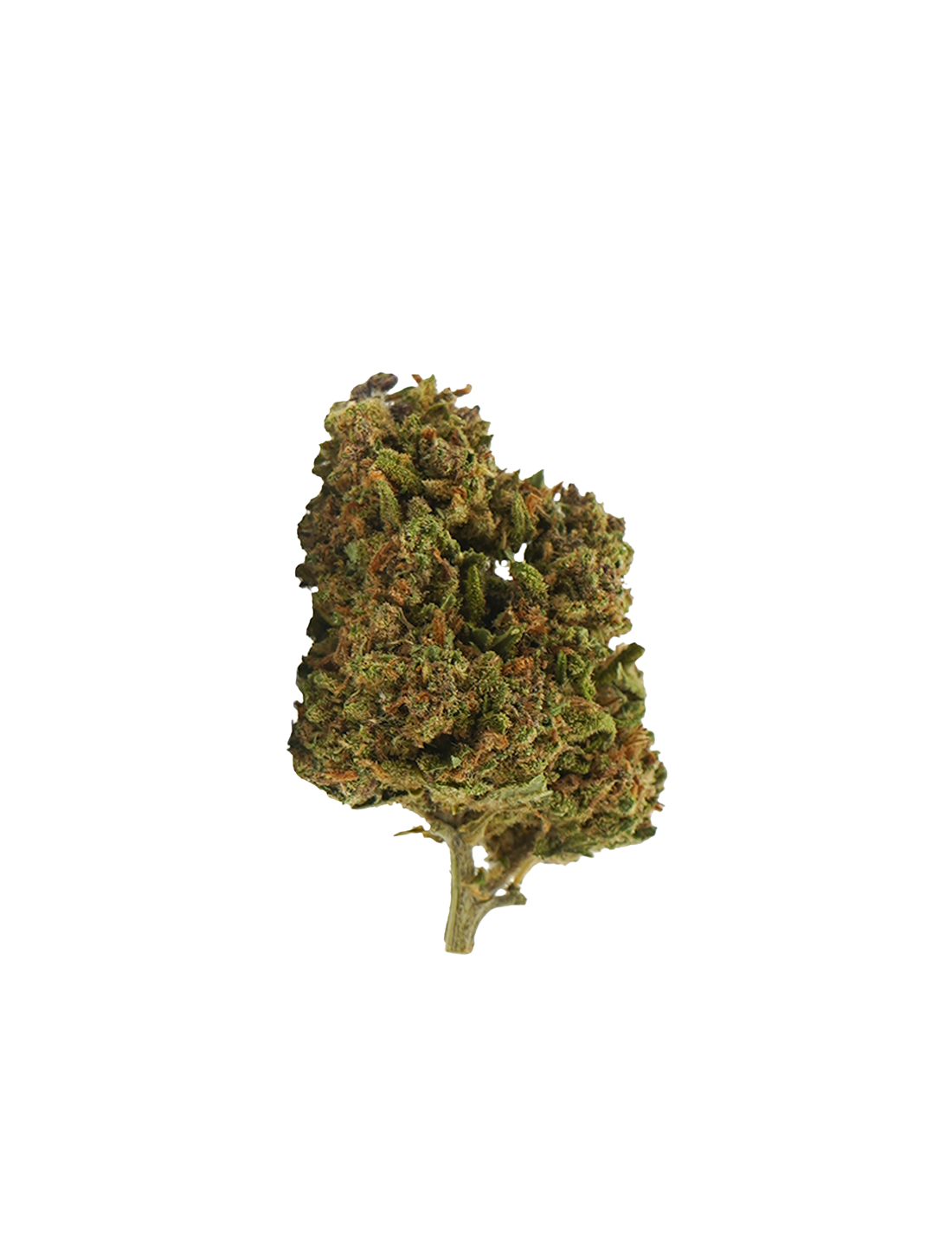 Tropical Haze CBD