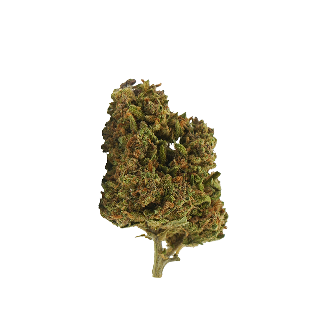 Tropical Haze CBD - Magic CBD