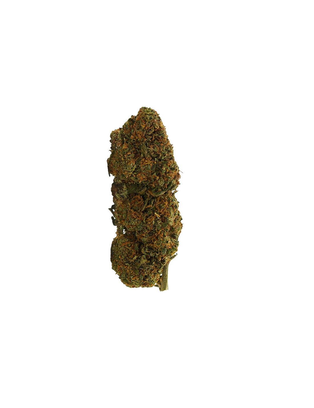 Wedding Cake CBD