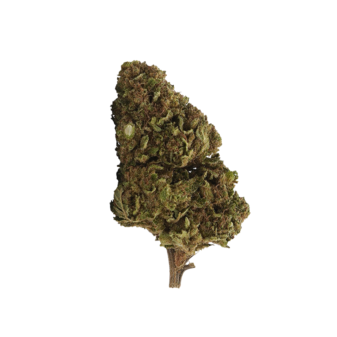 White Widow CBD - Magic CBD