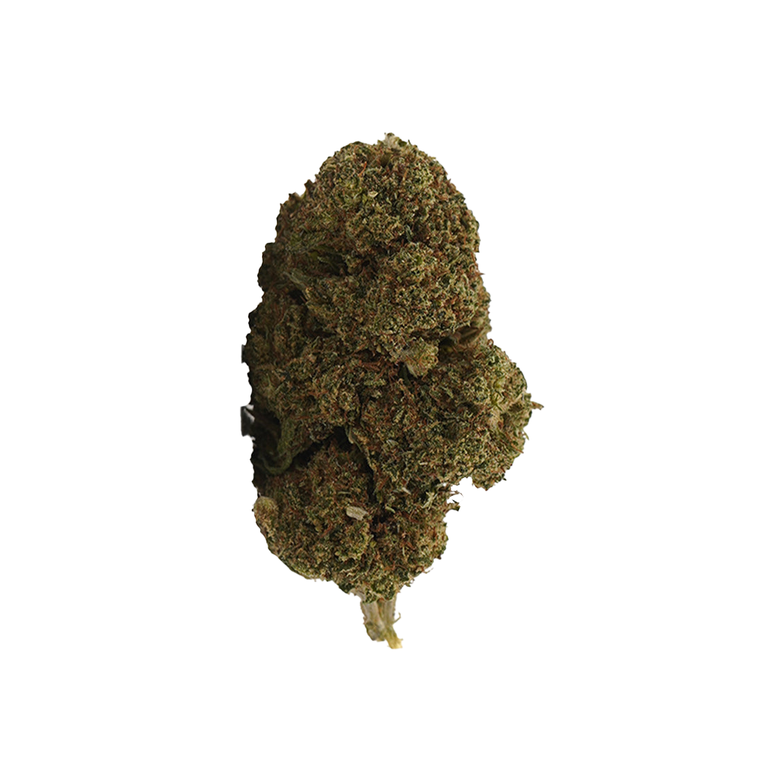 Cheesecake CBD
