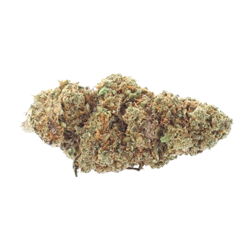 Harlequin - Magic CBD