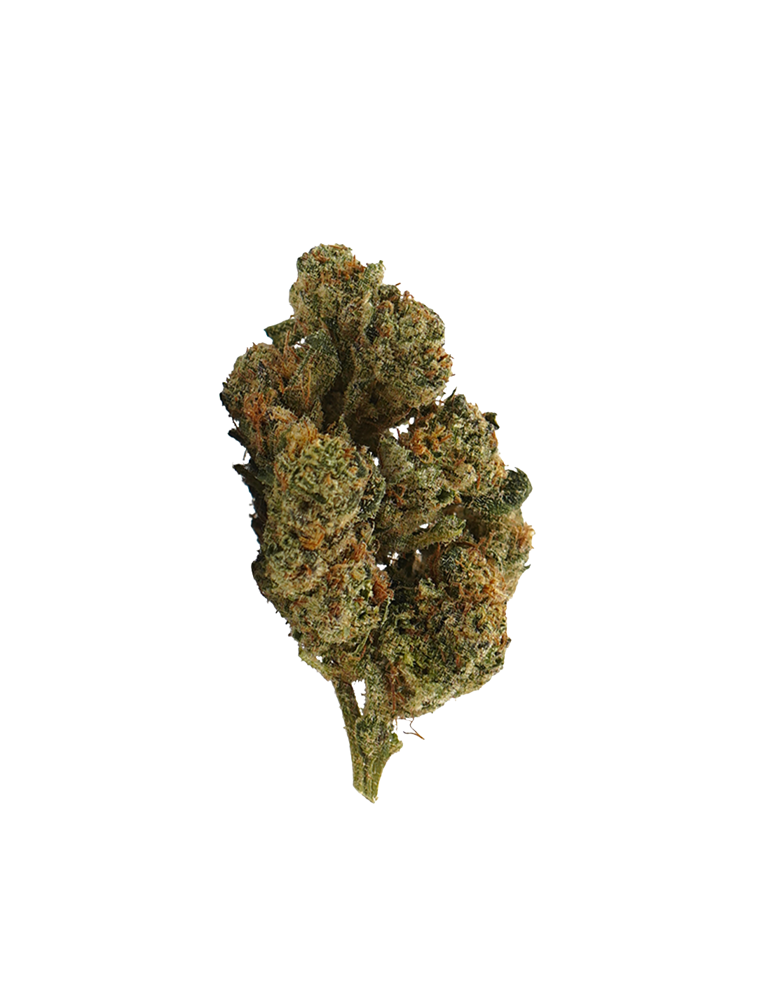 Plutonium CBD