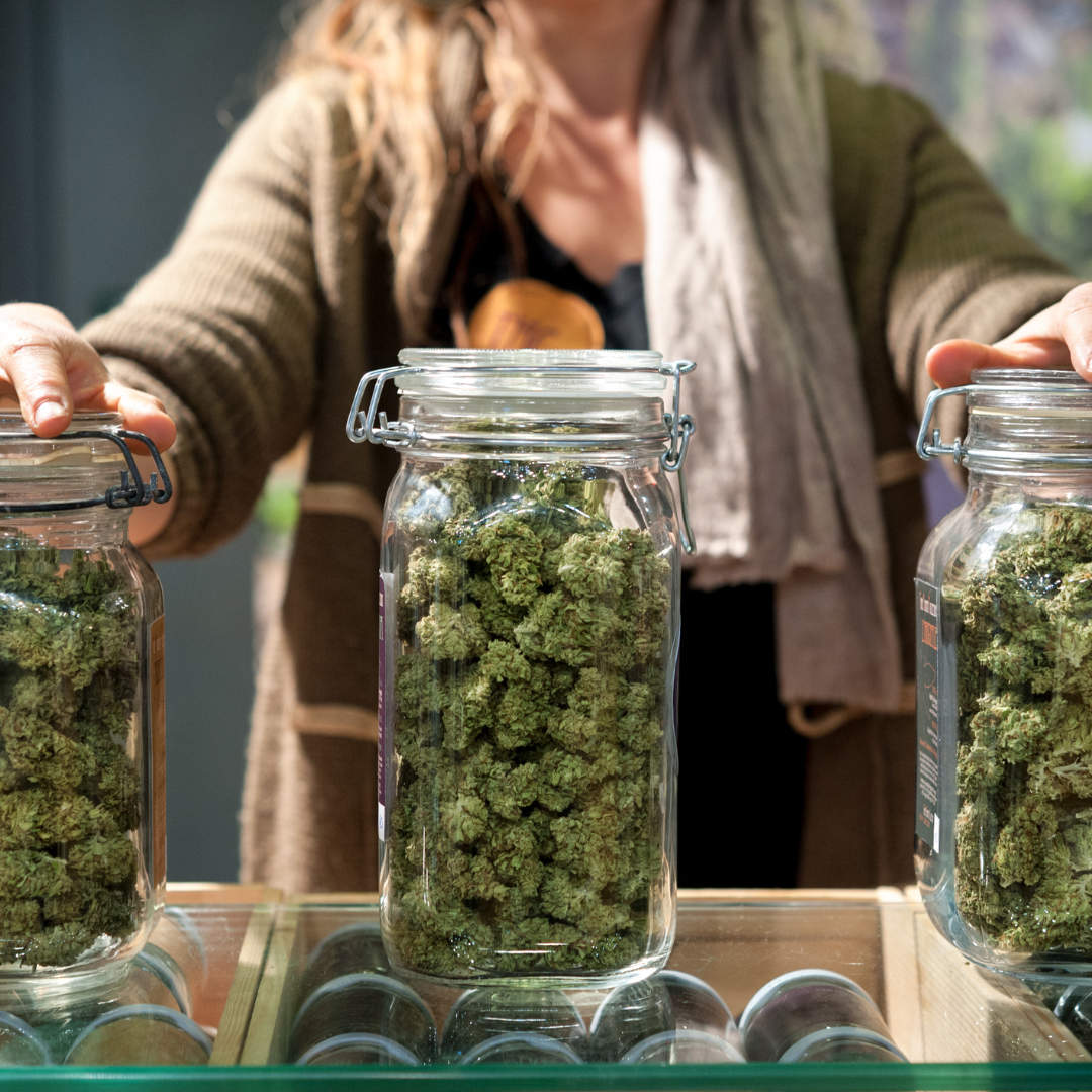 Le CBD ne fait pas planer et n'est pas un psychotrope