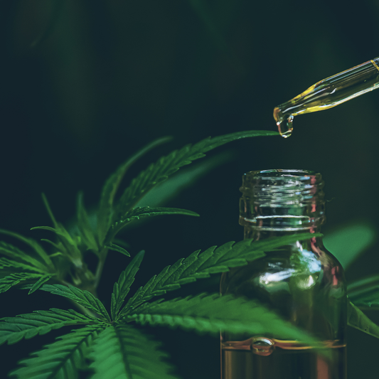 CBD et biodisponibilité : comment optimiser réellement l’absorption du cannabidiol