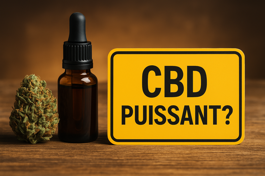 CBD puissant : mythe ou réalité ?
