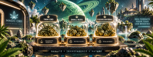 Trim CBD, small buds et fleurs entières : quelles différences ?
