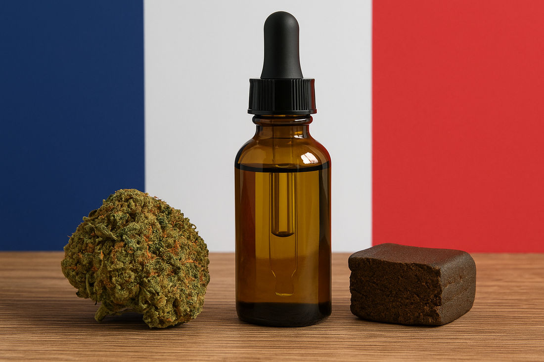 Légalisation du cannabis en France : où en est-on en 2025 ?