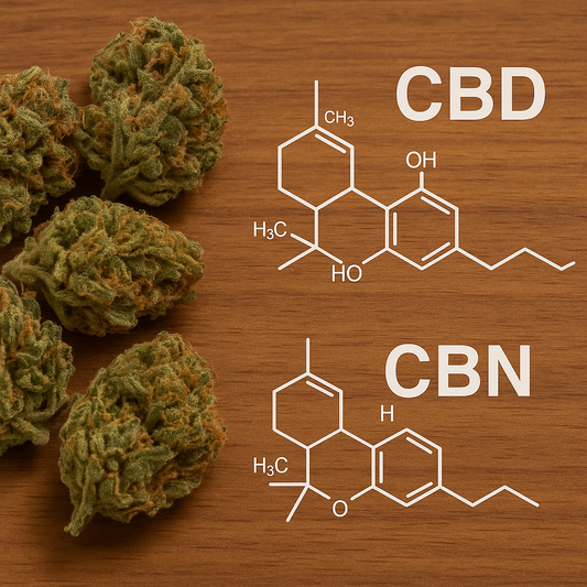 Le CBN est-il plus fort que le CBD : on compare les molécules