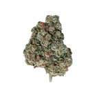 L.A CALI (CALIFORNIA GENETICS) - Magic CBD