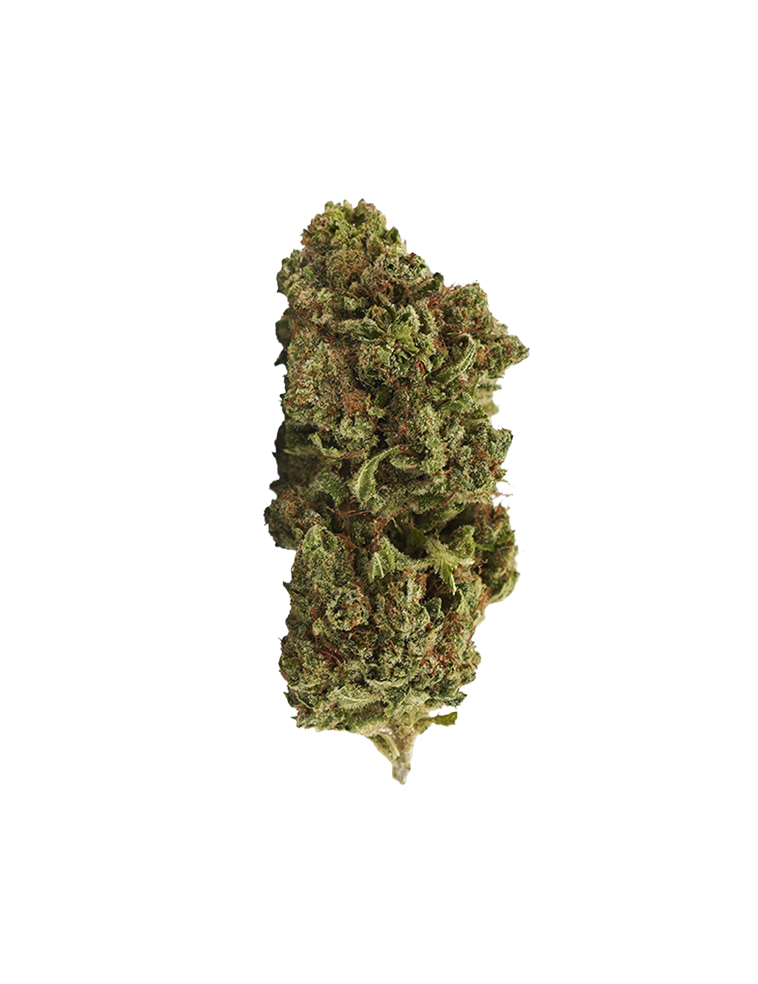 Mango Haze CBD