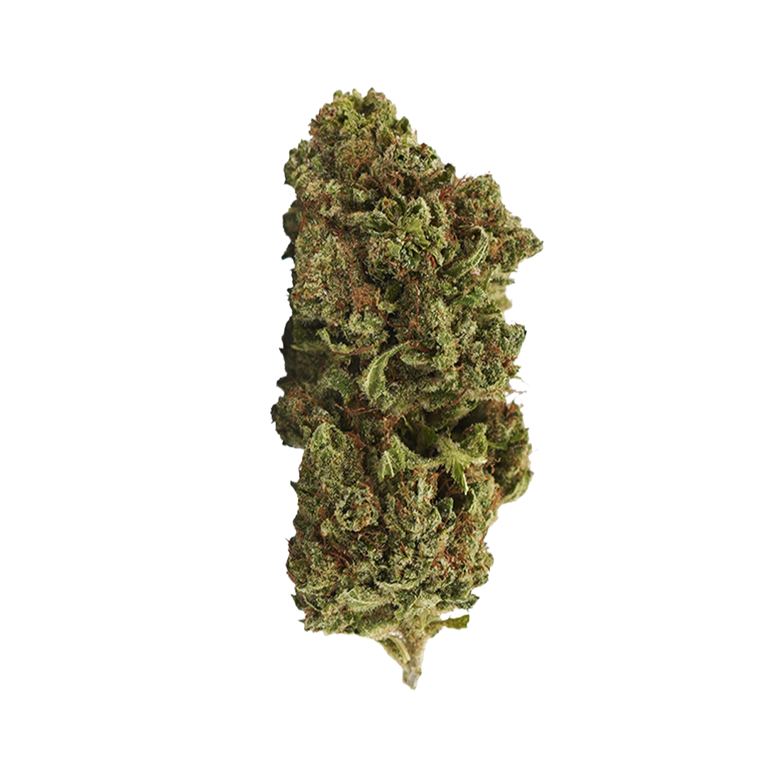 Mango Haze CBD — 100g