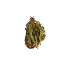 Banana CBG Small Buds - Magic CBD