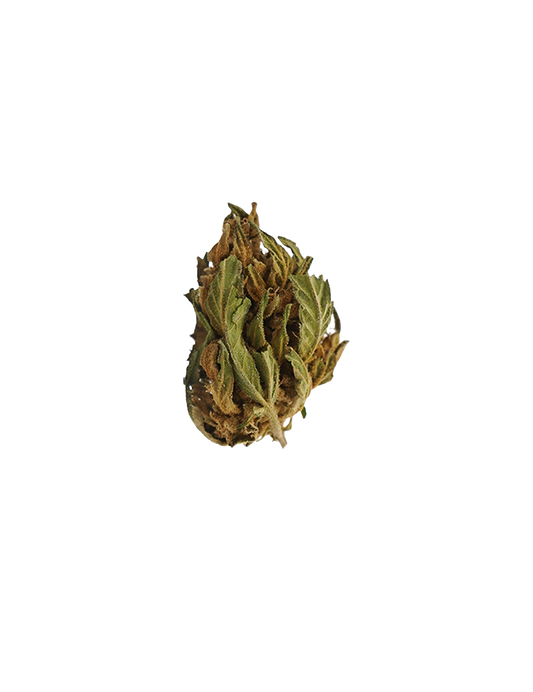 Banana CBG Small Buds