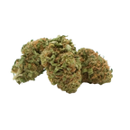 Fleurs de CBD offertes Magic CBD