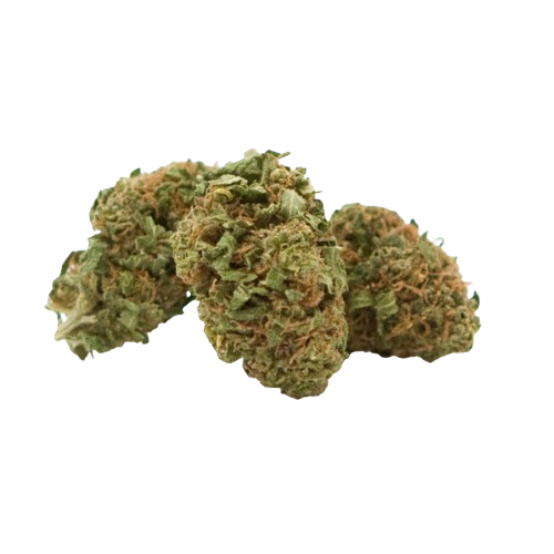 10 Grammes offert - Fleurs - Magic CBD