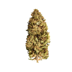 Banana Cream CBG - Magic CBD