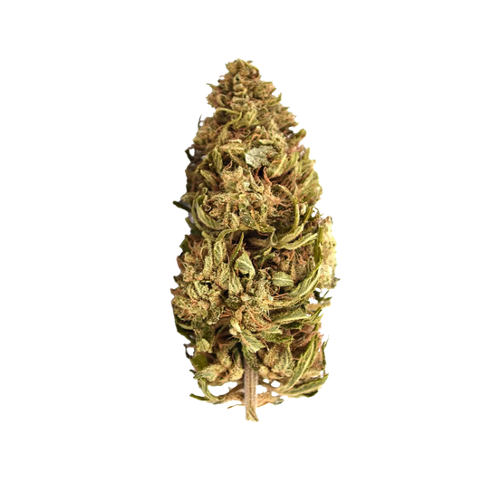 Banana Cream CBG