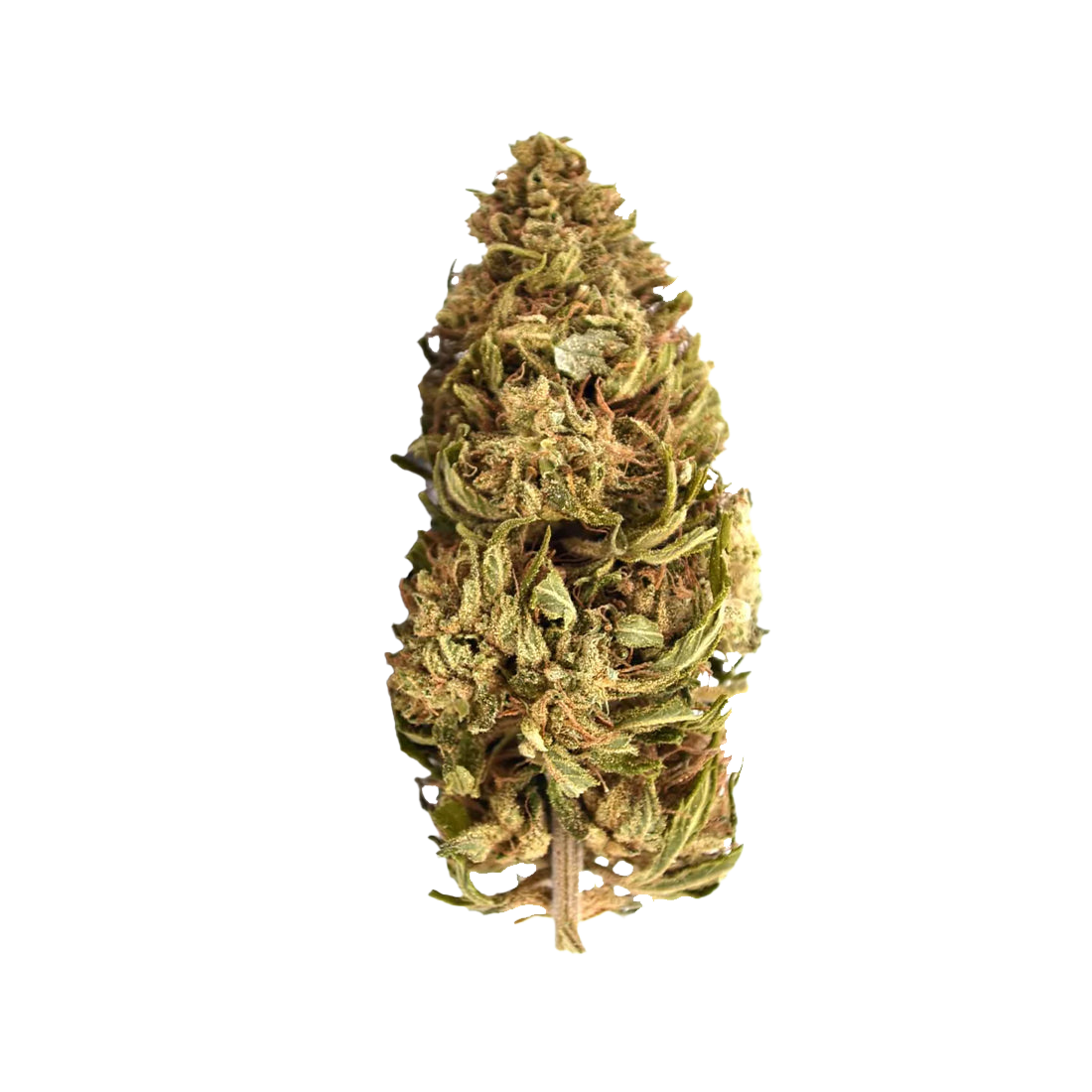 Banana Cream CBG — 100g
