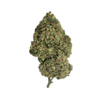 Gelato OG - Magic CBD
