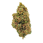 Super Lemon - Magic CBD