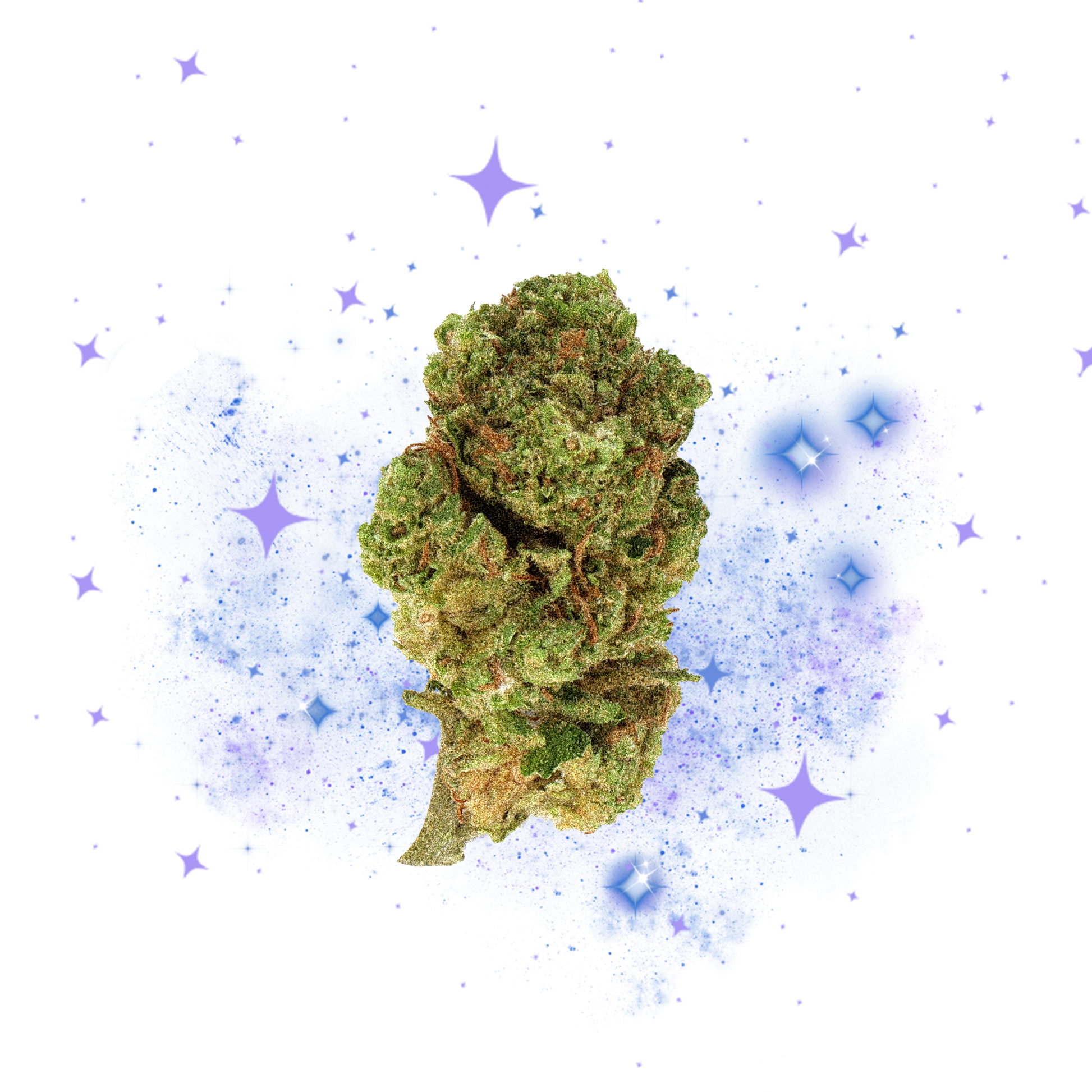 Hawaiian CBD Small Buds - Magic CBD