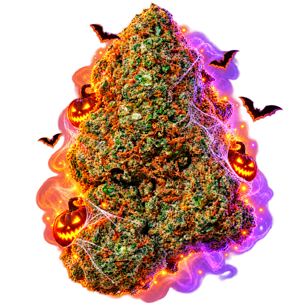 Amnesia 2.0 CBD