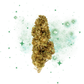 Fleur du mois CBD - Magic CBD