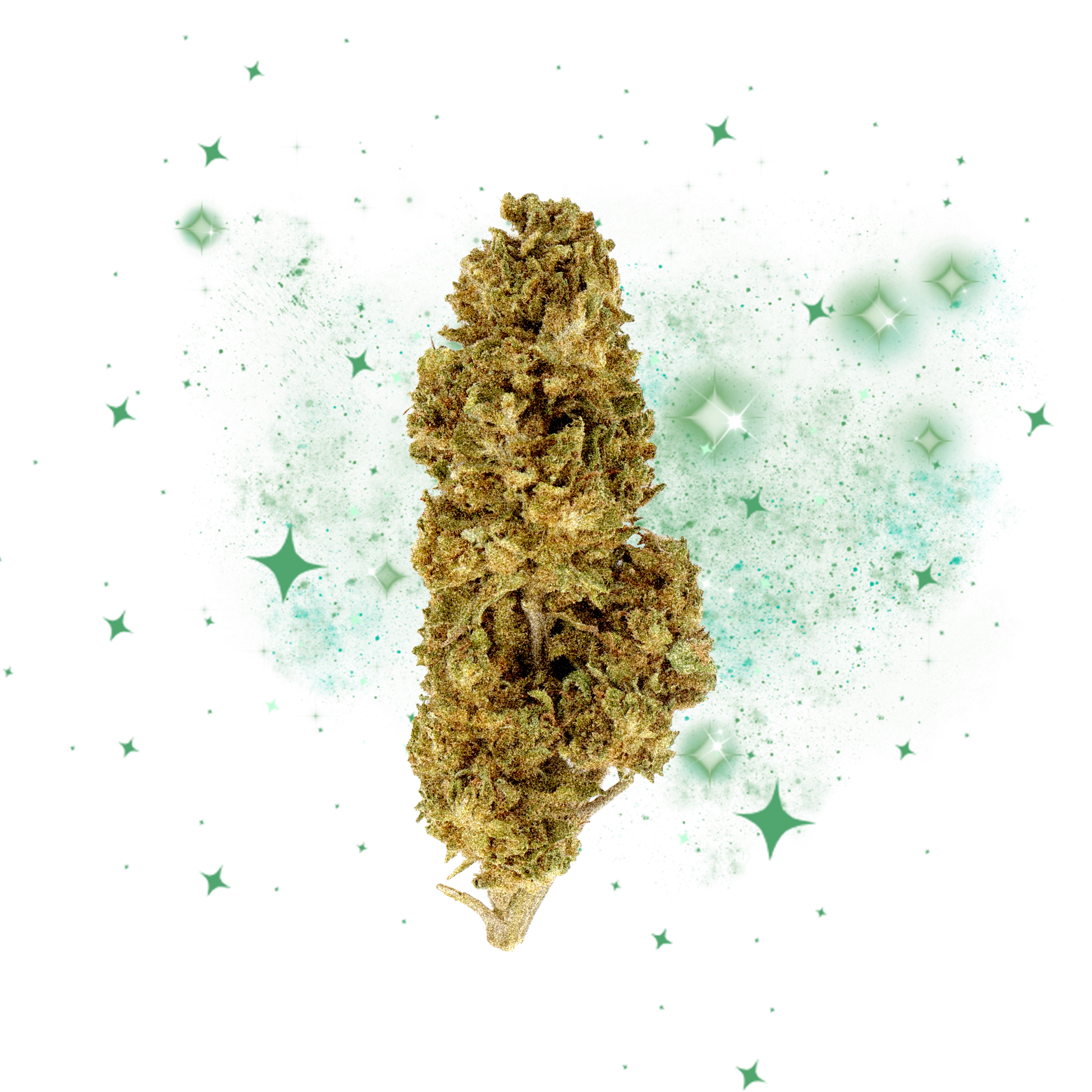 Fleur du mois CBD - Magic CBD