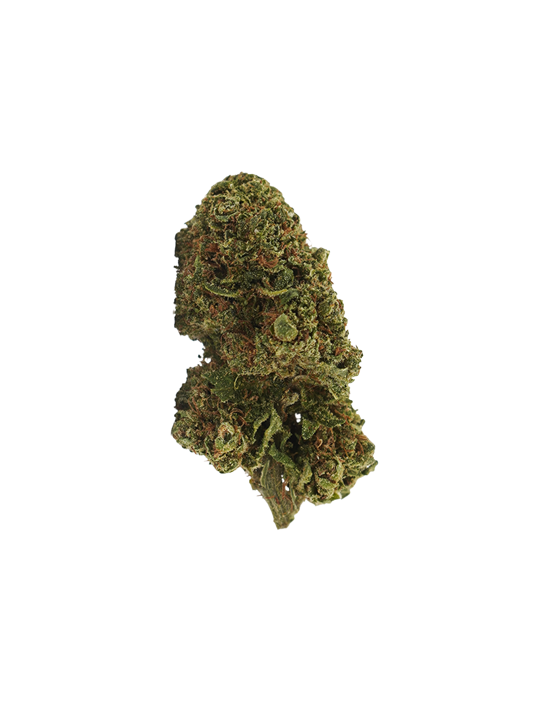Cookie Kush CBD