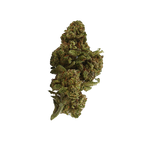 Critical+ 2.0 CBD - Magic CBD