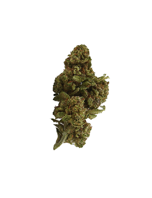 Critical+ 2.0 CBD