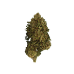 Gelato CBD - Magic CBD