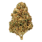 Watermelon CBD - Magic CBD