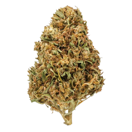 Watermelon CBD