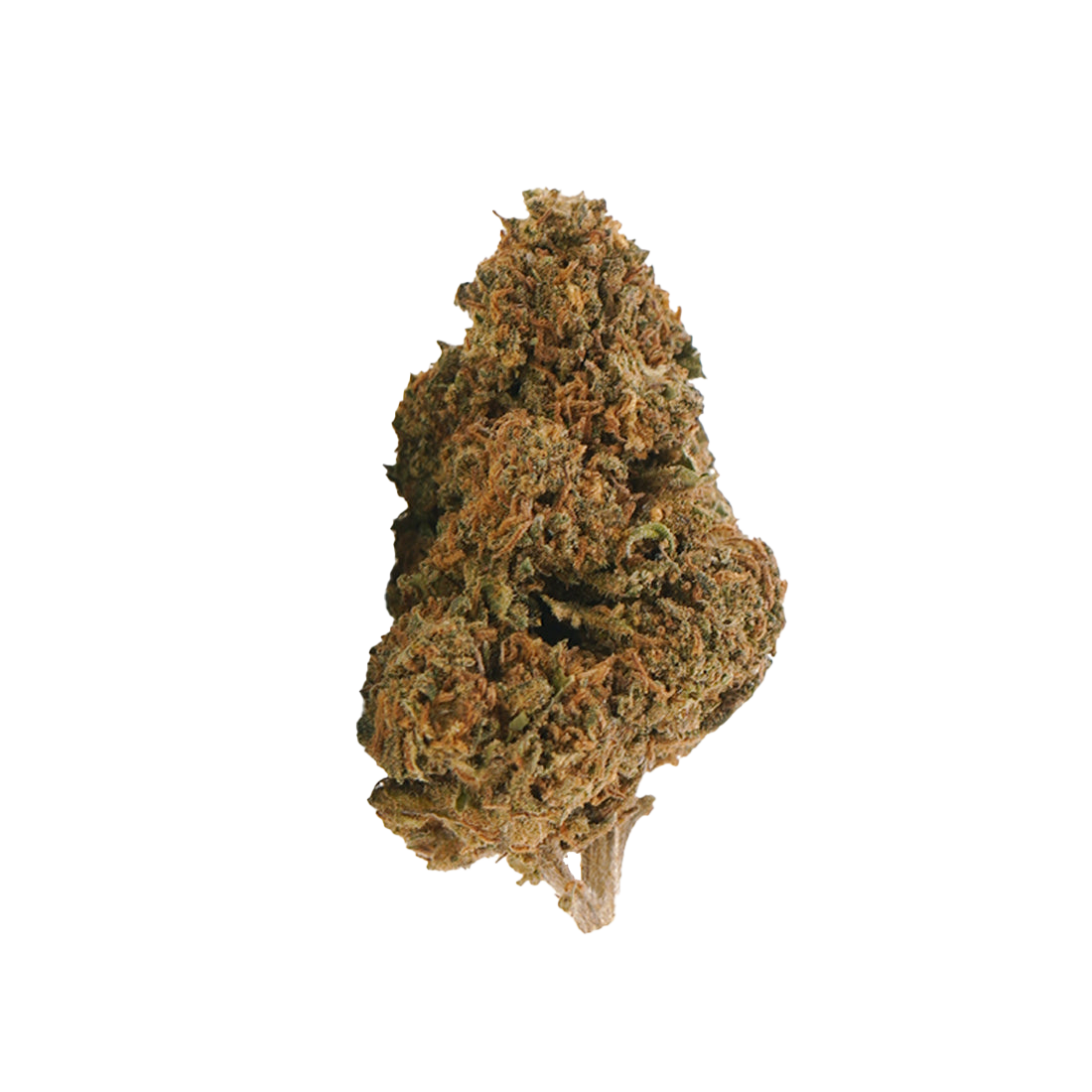 Jack Herer CBD — 100g