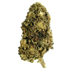 Northern Lights CBD - Magic CBD