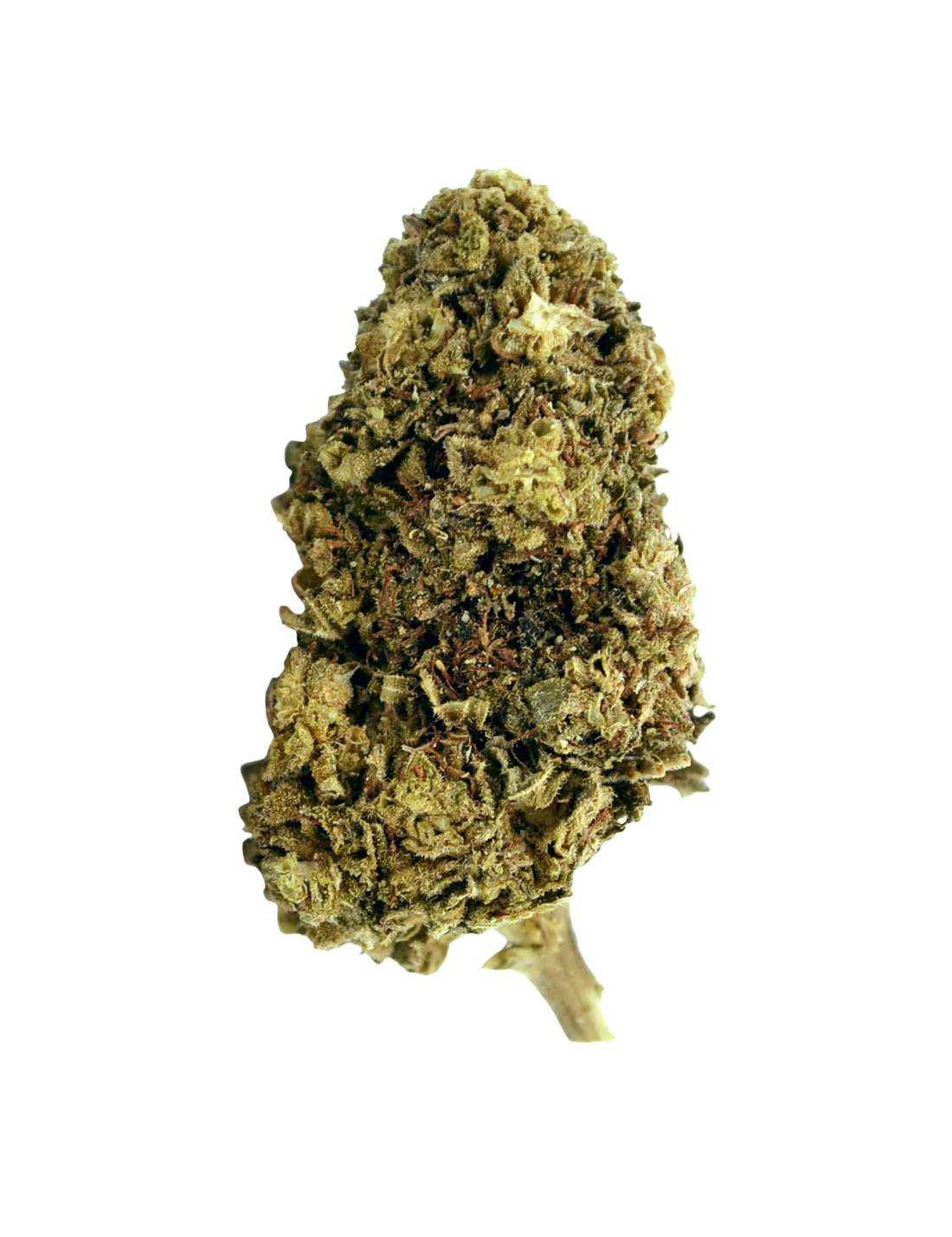 Northern Lights CBD