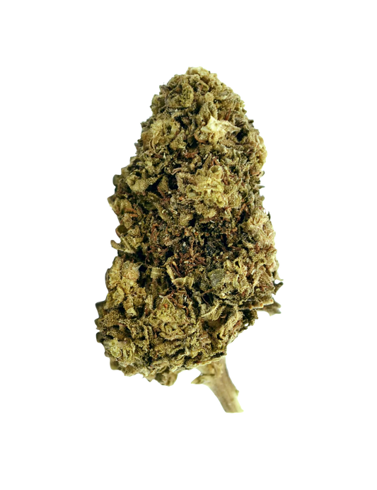 Northern Lights CBD