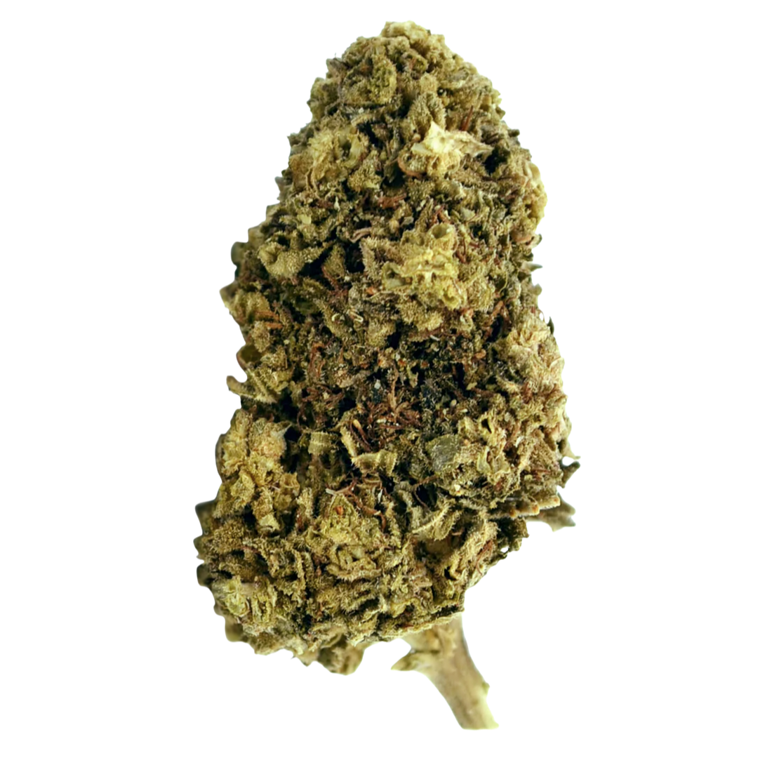 Northern Lights CBD — 100g