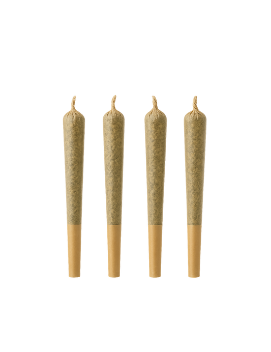 Pack découverte Pre-rolls CBD
