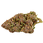 Pumpkin Haze CBD