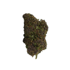 Rainbow Runtz CBD - Magic CBD